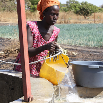 Diara Mané, a Senegalese farmer, gained access to water for her crops through a USAID-supported well. Photo credit: Zack Taylor, USAID/Senegal
