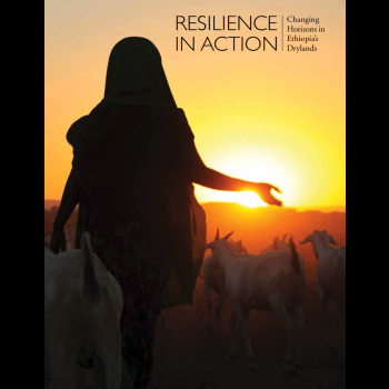 Resilience in Action: Changing Horizons in Ethiopia's Drylands