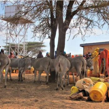 People and livestock wait their turn at a strategic borehole in Kenya, Joyce Kisiangani, Aquaya. (Photo from Kenya RAPID activity)