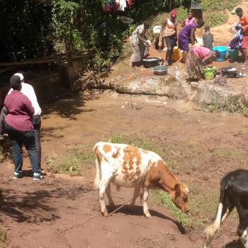 Reuters Article Highlights SWP's Work to Protect Springs in Kenya