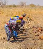 Dike repairs in Burkina Faso. Photo Credit: J. Hartl/USAID