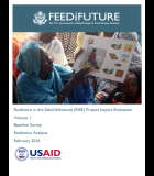 Resilience in the Sahel-Enhanced (RISE) Project Impact Evaluation, Volume 1 – Baseline Survey, Resilience Analysis
