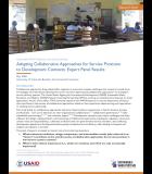 SWS brief: Adapting Collaborative Approaches for Service Provision to Development Contexts: Expert Panel Results
