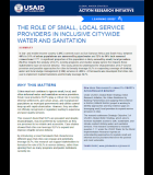 The Role of Small, Local Service Providers in Inclusive Citywide Water and Sanitation