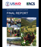Indonesia Forest and Climate Support (IFACS): Final Report