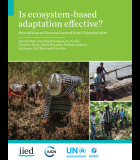 Is Ecosystem-Based Adaptation Effective? Perceptions and lessons learned from 13 project sites