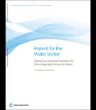 Fintech for the Water Sector: Advancing Financial Inclusion for More Equitable Access to Water