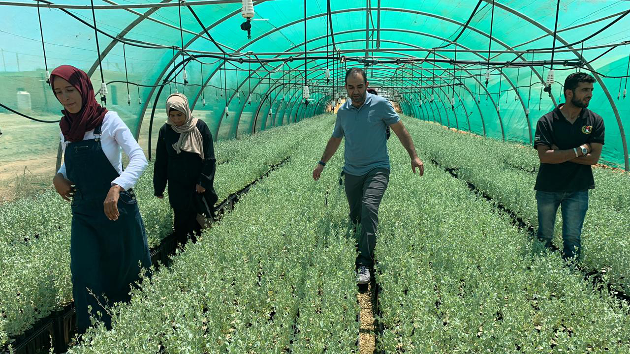 WADI supports local communities to grow native seedlings utilizing water conserving technologies and sustainable nursery management practices. Photo credit: USDA