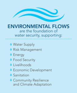 Environmental Flows Graphic